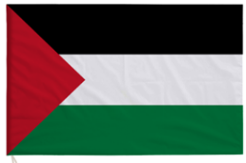 X9. 39-2 flag