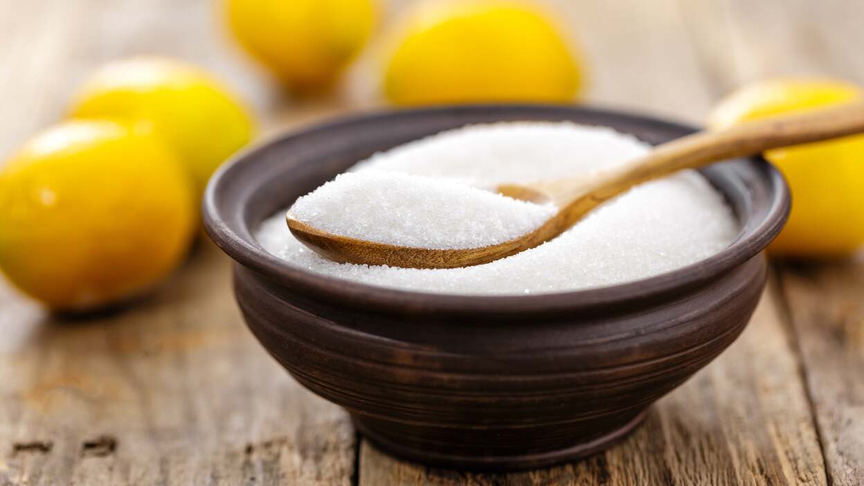 E2.Citric Acid (LOOSE)