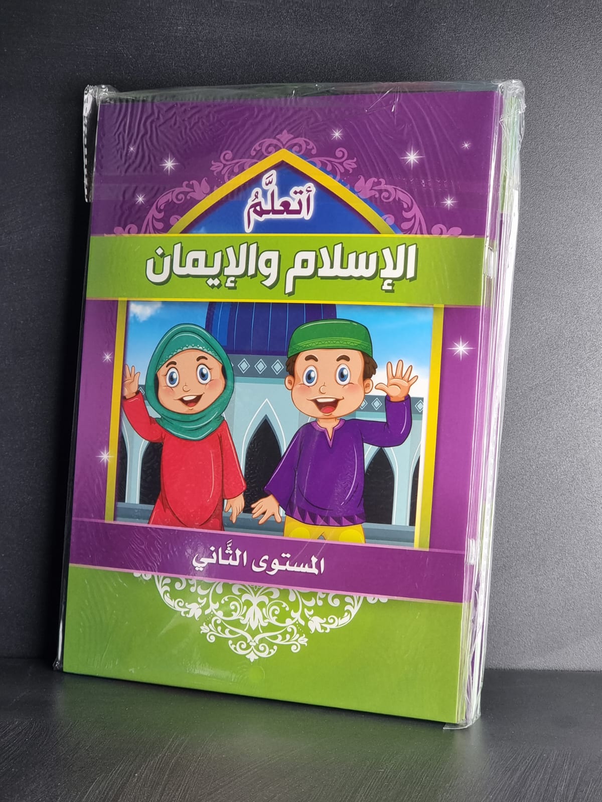 W3. 8-3 Study Book
