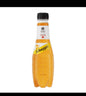 A1.Schweppes Tangerine Drink 'Plastic'