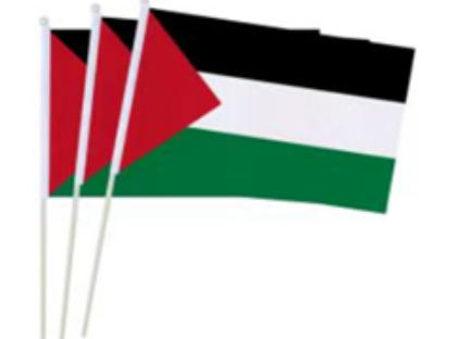 X9. 39-3 flag