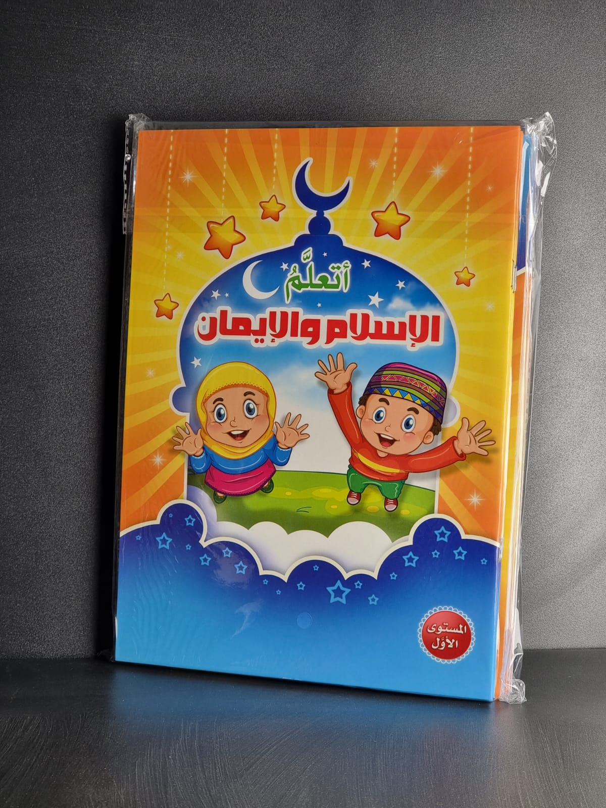 W3. 8-2 Study Book Faith
