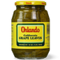 D6.Orlando Grape Leaves [Jar]